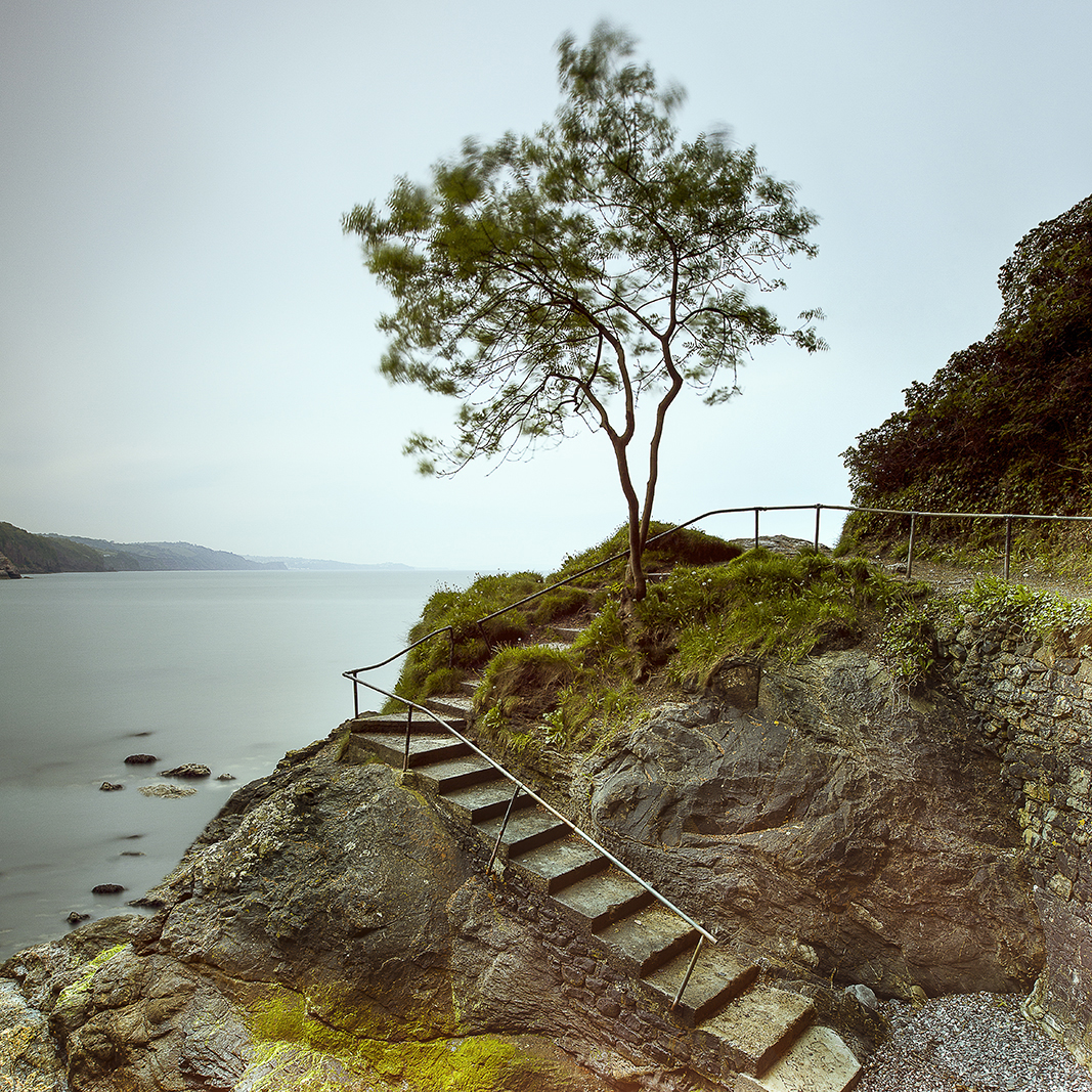 Steps